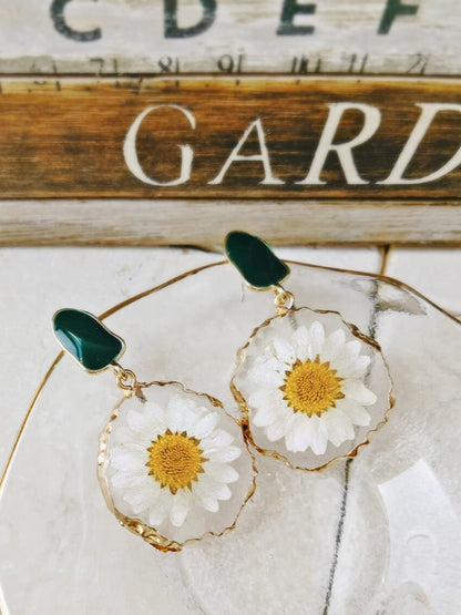 Gold edged daisy earrings