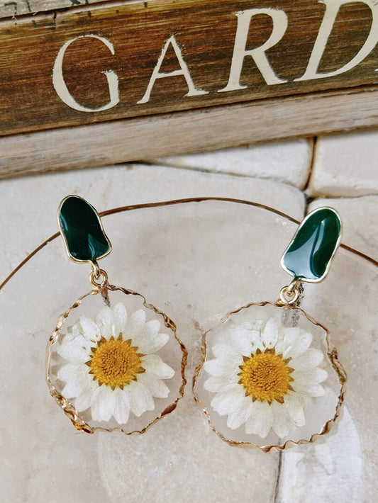 Gold edged daisy earrings