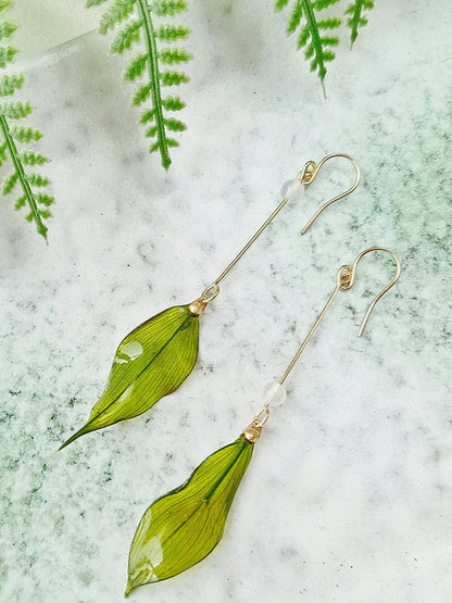 Koala Gum Leaf Bamboo Leaves Resin Earrings